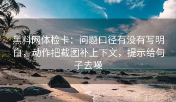 黑料网体检卡：问题口径有没有写明白，动作把截图补上下文，提示给句子去噪