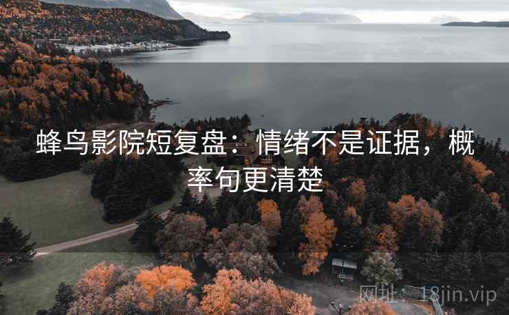蜂鸟影院短复盘：情绪不是证据，概率句更清楚